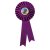 Champion Rosette | Purple | 255mm |  - RO7262A