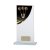 Colour Curve Darts Jade Glass Trophy | 200mm |  - CR4608D
