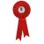 Champion Rosette | Red | 255mm - RO7258A