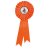Champion Rosette | Orange | 300mm |  - RO7263B