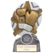The Stars Boxing Plaque Trophy | Silver & Gold | 130mm | G9