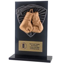 Jet Glass Shield Boxing Trophy | 140mm | G25