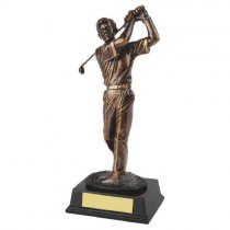 Follow Through Golf Trophy| Male Golfer | 250mm | G49