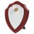 Chrome Fronted Shield Trophy | 200mm - 170AP