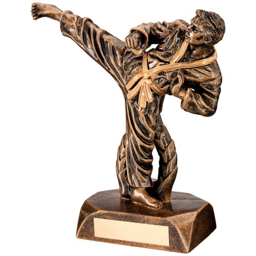 Karate Trophy | 165mm |