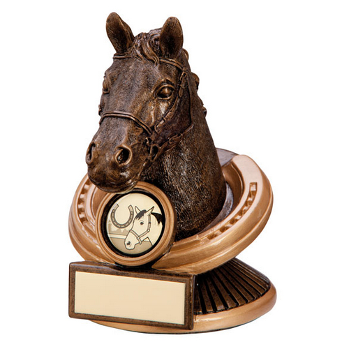 Endurance Equestrian Horse Head Trophy | 125mm | G6
