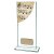 Colour Curve Music Jade Glass Trophy | 200mm |  - CR4763D