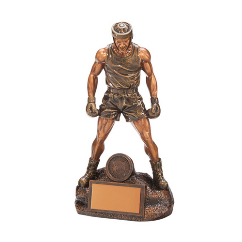 Ultimate Boxing Trophy | 225mm | G25