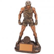 Ultimate Boxing Trophy | 265mm | G25