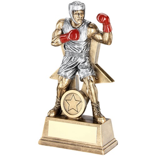 Star Male Boxing Trophy | 152mm |