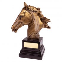 Belmont Equestrian Trophy | 170mm | G24
