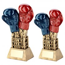 Ringside Boxing Trophy | 197mm |