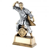 Star Male Martial Arts Trophy | 152mm |