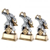 Star Male Martial Arts Trophy | 152mm |