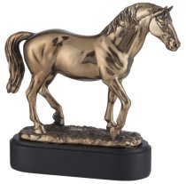 Bronze Horse Award