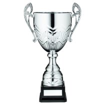 Silver Bullet Bowl Trophy Cup With Handles | 279mm