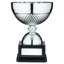 Silver Dimple Bowl Trophy | 203mm