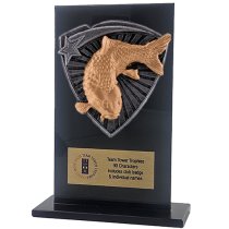 Jet Glass Shield Fishing Trophy | 140mm | G25